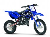2009 Malaguti Grizzly RCX 12 photo